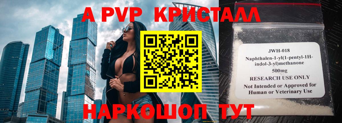 Альфа ПВП СК КРИС Майкоп